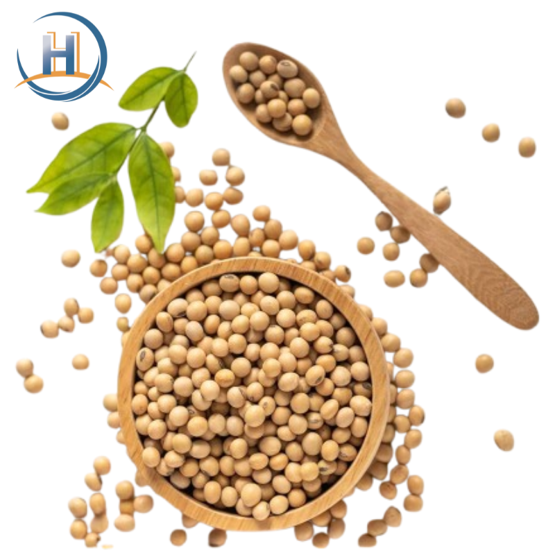 Health Food Ingredient Soy Lecithin Powder