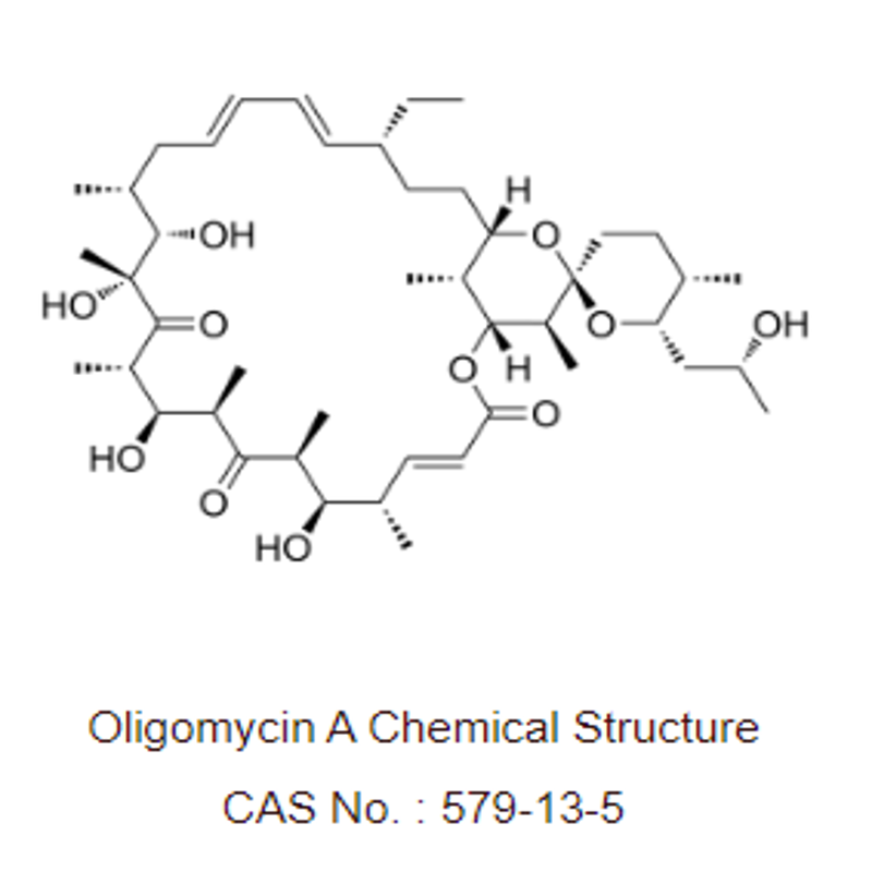 Oligomycin A 579-13-5