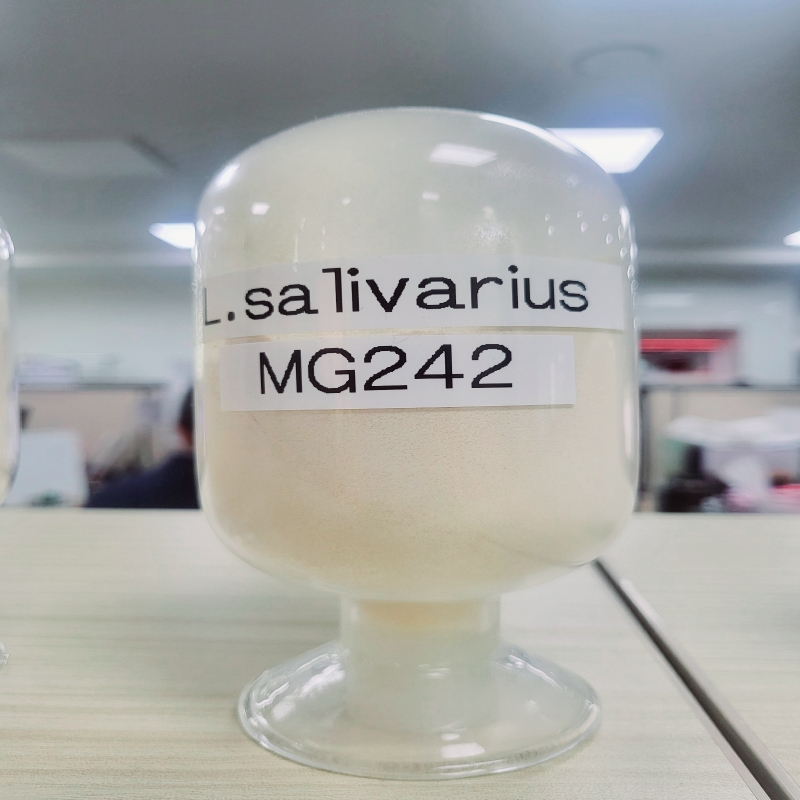 Ligilactobacillus salivarius