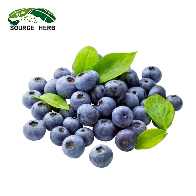 100% Natural Fruit Extract Blueberry Extract Powder