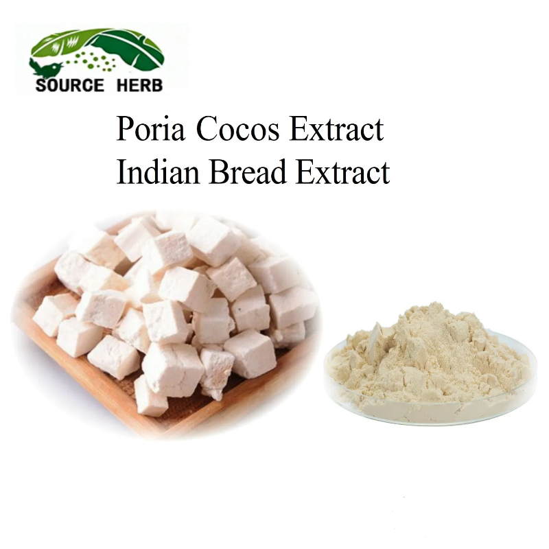 100% Natural Poria Cocos Extract Powder