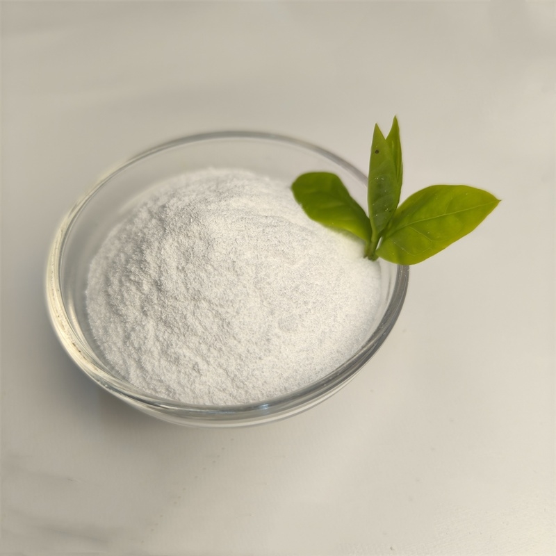 Food Grade Chemical Additives Sodium Gluconate high quality 527-07-1