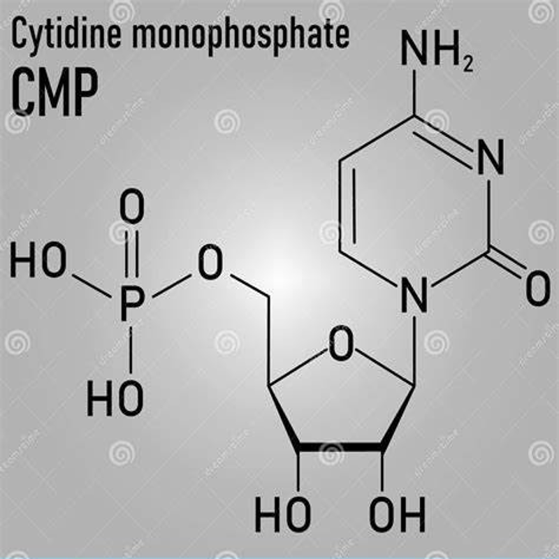 CYTIDINE 5'-MONOPHOSPHATE Cas No:63-37-6