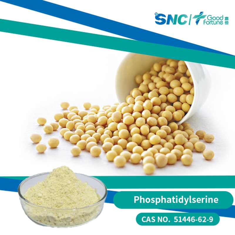 Phosphatidylserine - SNC | Good Fortune