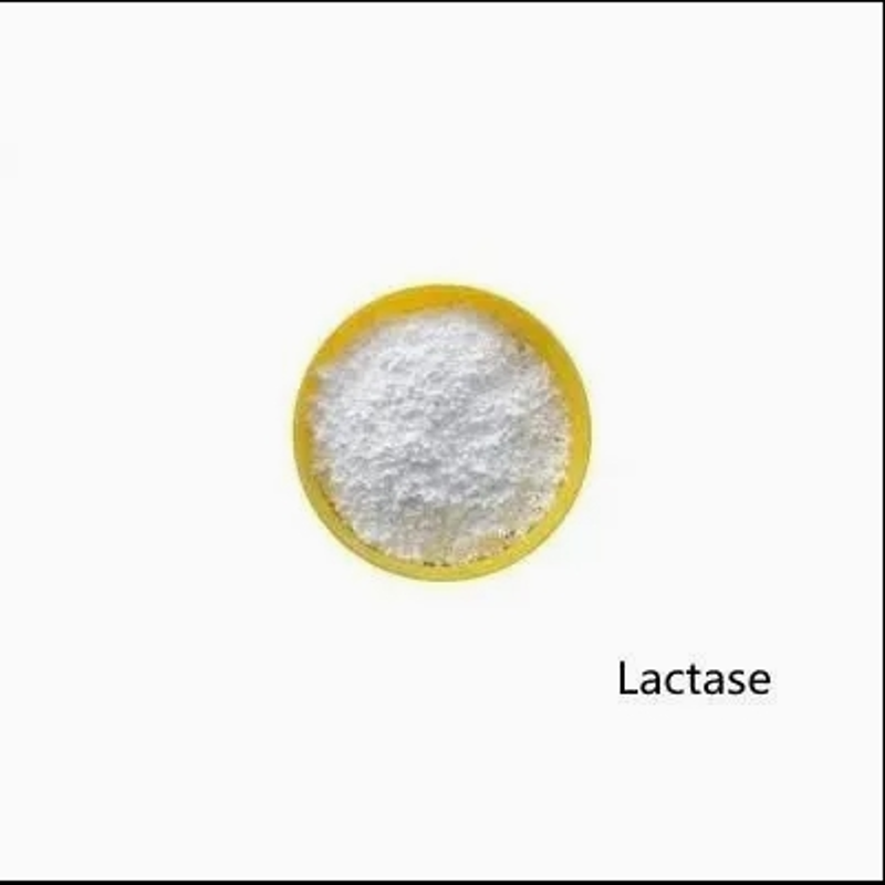 Supply Food Sweeteners Anhydrous Monohydrate Powder Lactose CAS 63-42-3