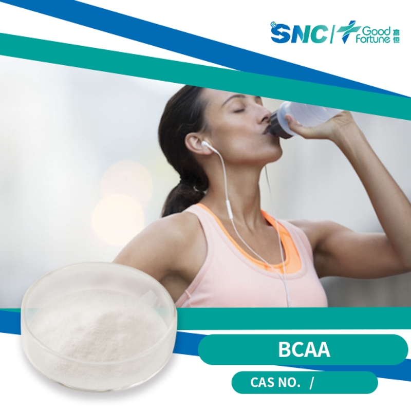 Bcaa Powder 2:1:1 - SNC | Good Fortune