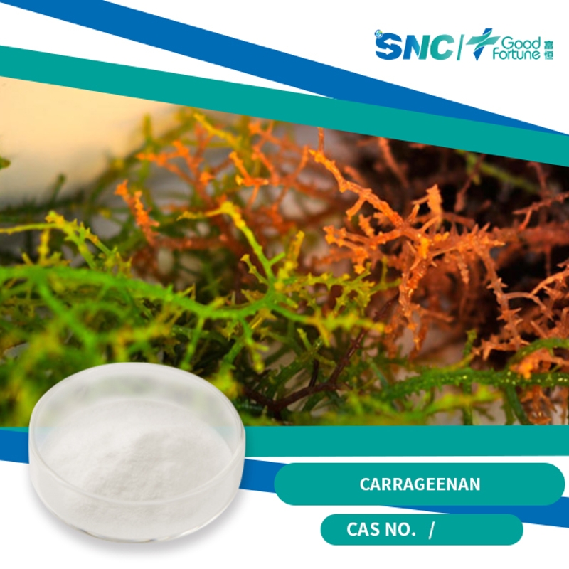 Carrageenan BLK1120  White powder  SNC | Good Fortune