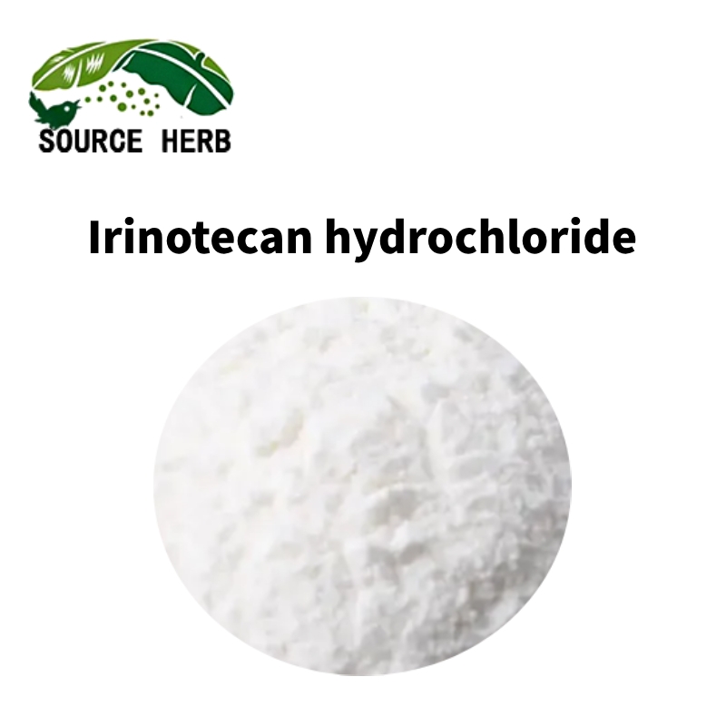 Factory Supply High Quality API Irinotecan Hydrochloride CAS 100286-90-6