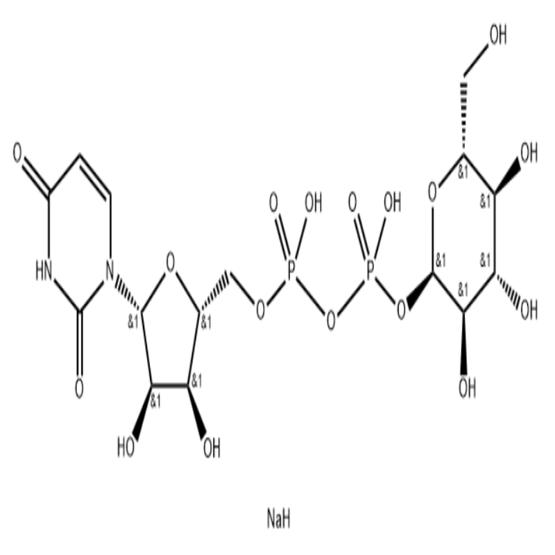 Uridine 5'-diphosphoglucose disodium salt  HL