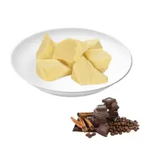 100% Natural Cocoa Butter Raw Organic Plant Extract High Quality