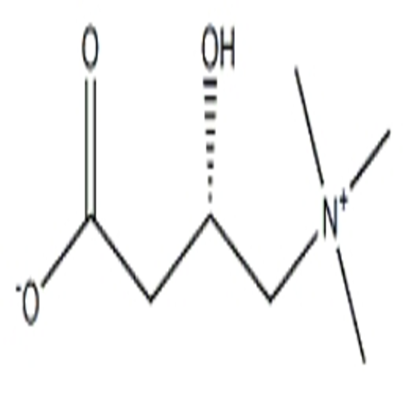 L carnitine