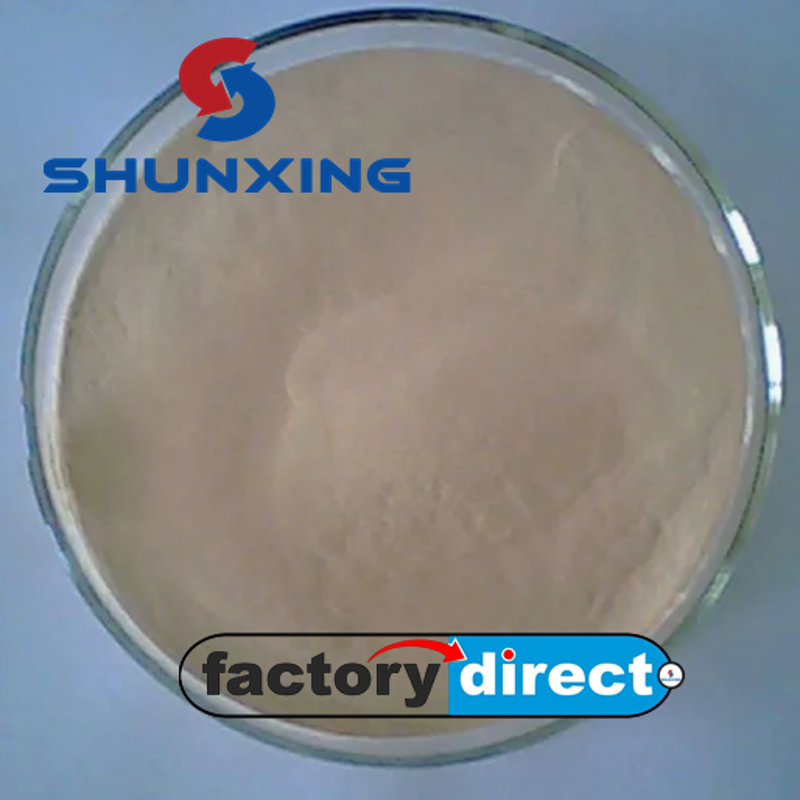 Trusted Supplier Food Additive E1100 Fungal Alpha Amylase Enzyme CAS 9000-90-2