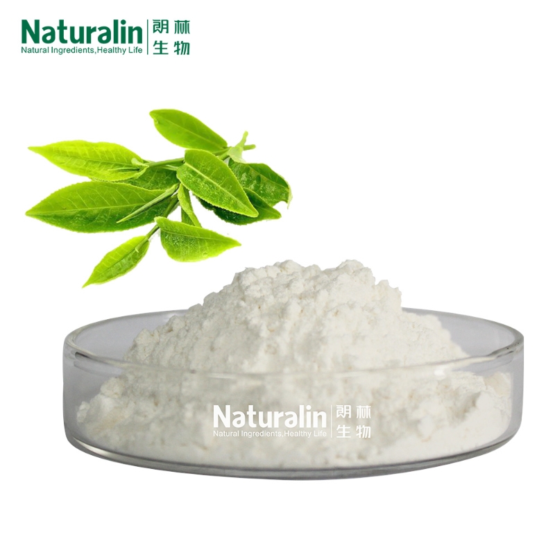 Naturalin High Quality Food Grade Fermentation & Synthesis  Health Supplements 99% Pure L-Theanine Powder