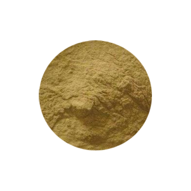 Factory Supply High Quality Plant Herb Extract Kava Extract