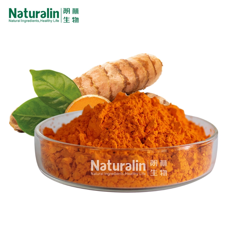 Naturalin Wholesale Natural Feed Additives Best Selling Curcuminoids Root Extract Curcumin 95% Turmeric Extract