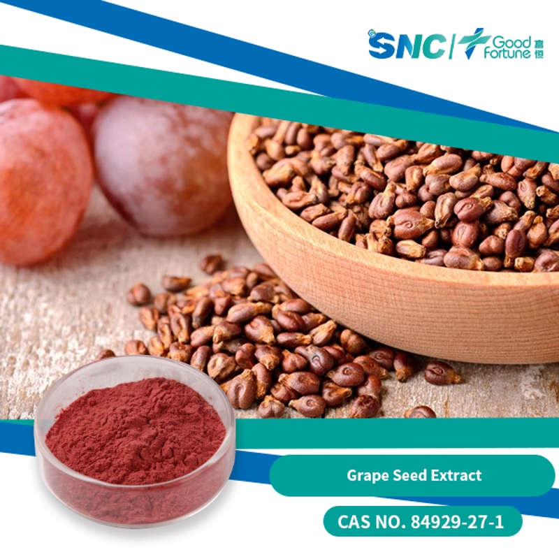 Grape Seed Extract 95% Reddish broen fine powder  SNC | Good Fortune