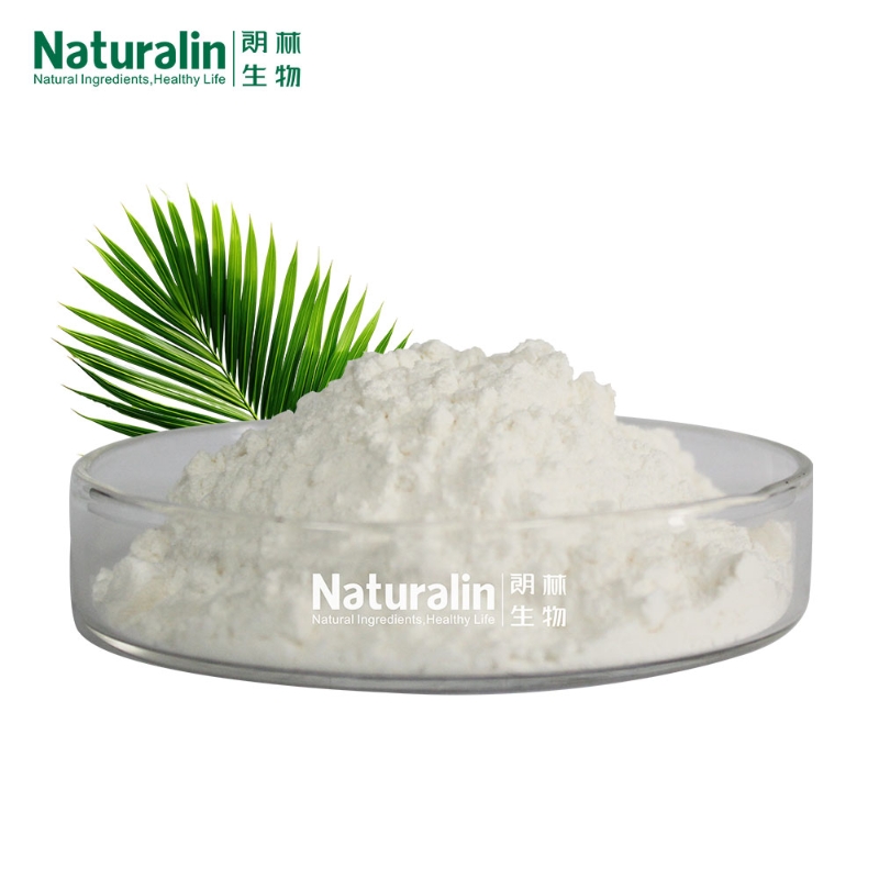 Factory Supply Natural Palm Extract Naturalin Serenoa Repens GC tested 45% Fatty Acid