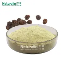 Naturalin Natural Black Pepper Extract Powder Factory direct sales High quality and low price Black Pepper 95% Piperine