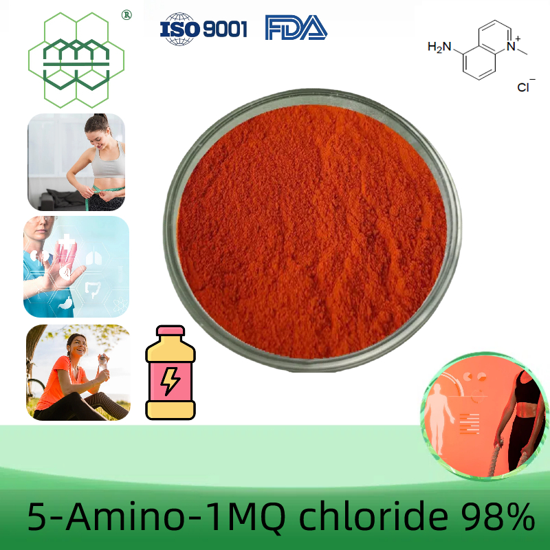 Manufacturer Supplies high-quality 5-Amino-1-methylquinolinium chloride CAS No.: 42464-96-0 98% purity min. for Raw Materials