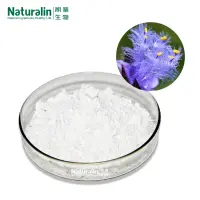 Naturalin Cyanotis Arachnoidea Extract High Quality Cyanotis Arachnoidea CB.Clarke 95% Ecdysterone Extract Powder