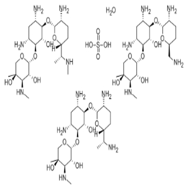 Gentamicin sulfate 100%