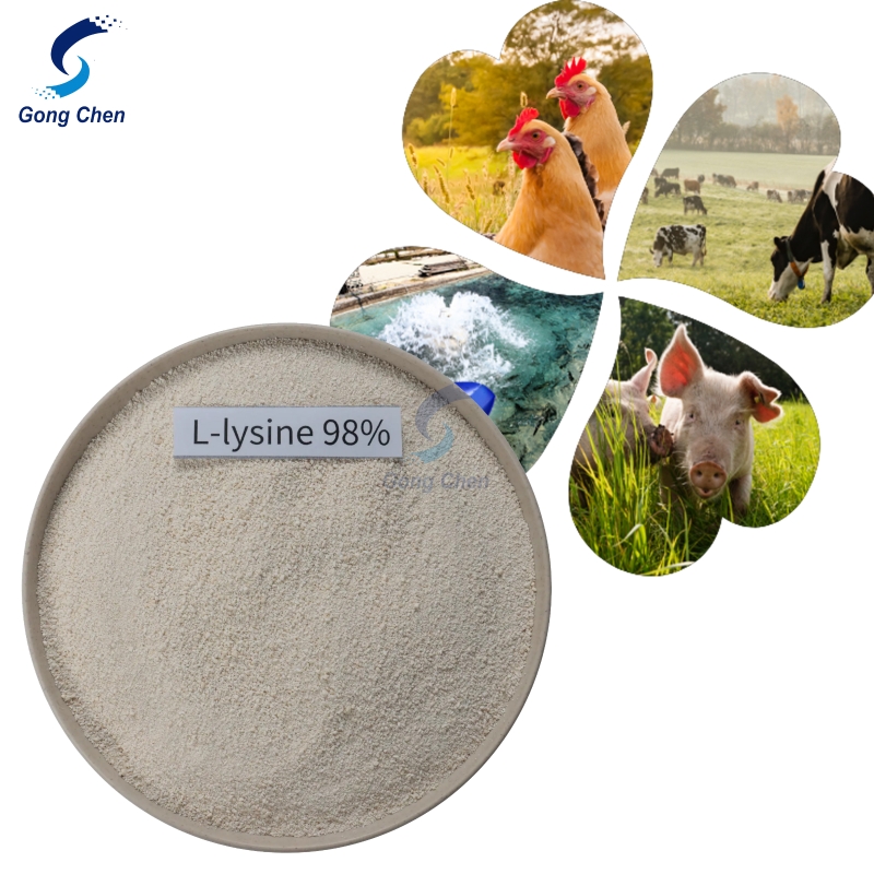 Shengyu Lysine L Lysine feed grade food grade L-Lysine hcl animal feed additive