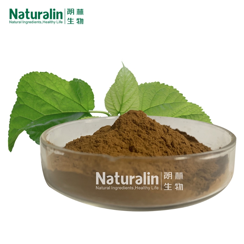 Mulberry Leaf Extract DNJ Naturalin High Quality Health Supplements Powder Morus Alba L. 2% DNJ