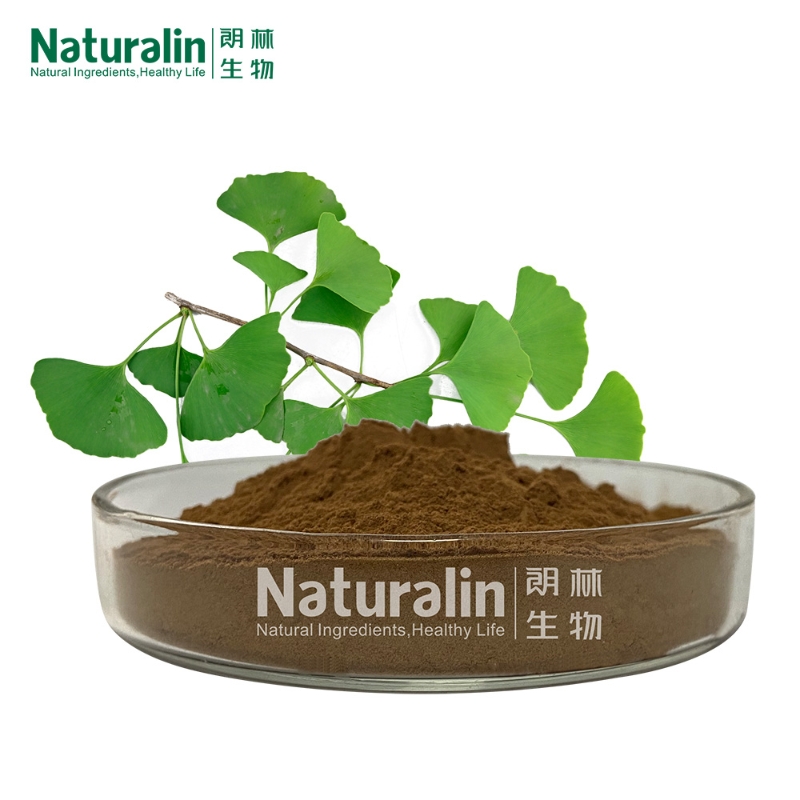 Naturalin High Quality Ginkgo Biloba Extract in Powder Form Drum Plastic Container Packaging Herbal Supplements