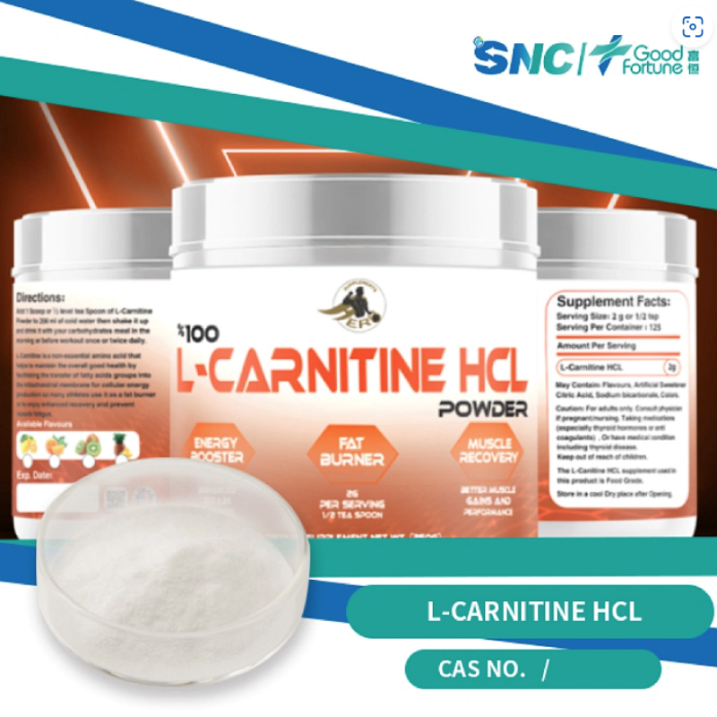 L-Carnitine HCL pharmaceutical grade 98% white powder  SNC | Good Fortune