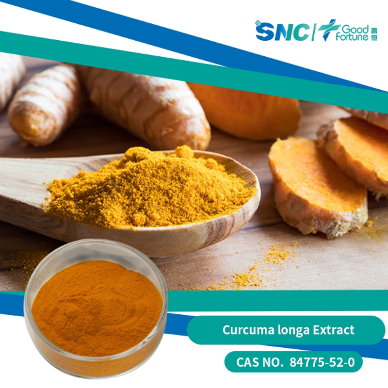 Curcuma longa Extract - SNC | Good Fortune