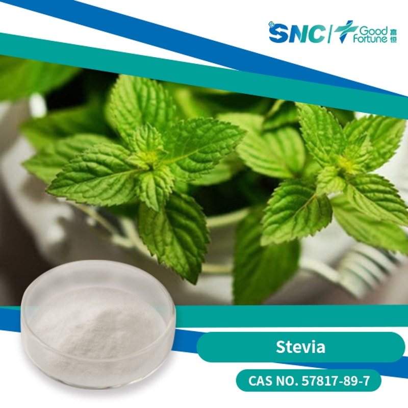 Stevia Extract food grade 98% white powder  SNC | Good Fortune