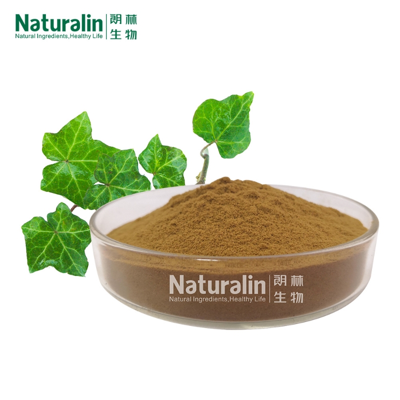 Naturalin 10% Hederacoside C Good Water-Soluble Ivy Leaf Extract Hedera helix Cough Syrup Powder in Drum Packaging