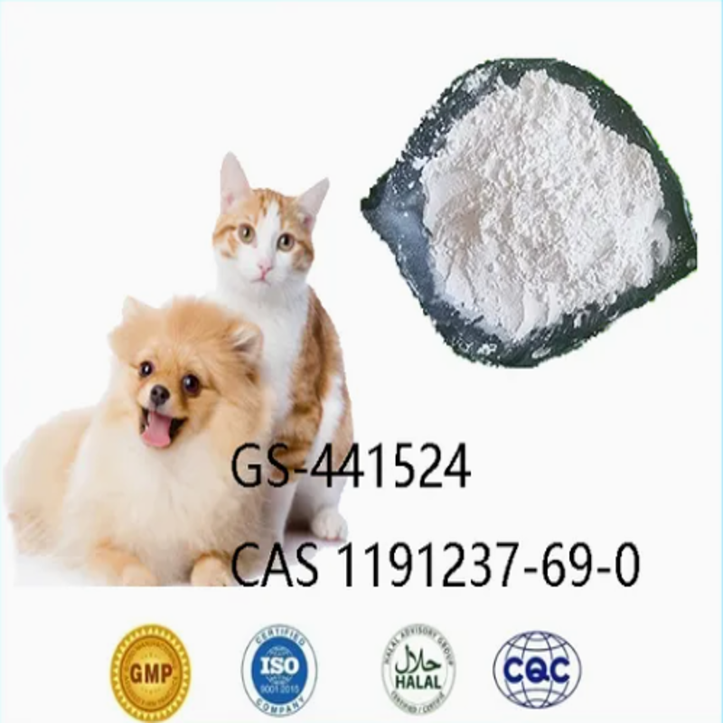 R Emdesivir Intermediates G S-441524 CAS 1191237-69-0 Treatment of Feline Infectious Peritonitis for Cat