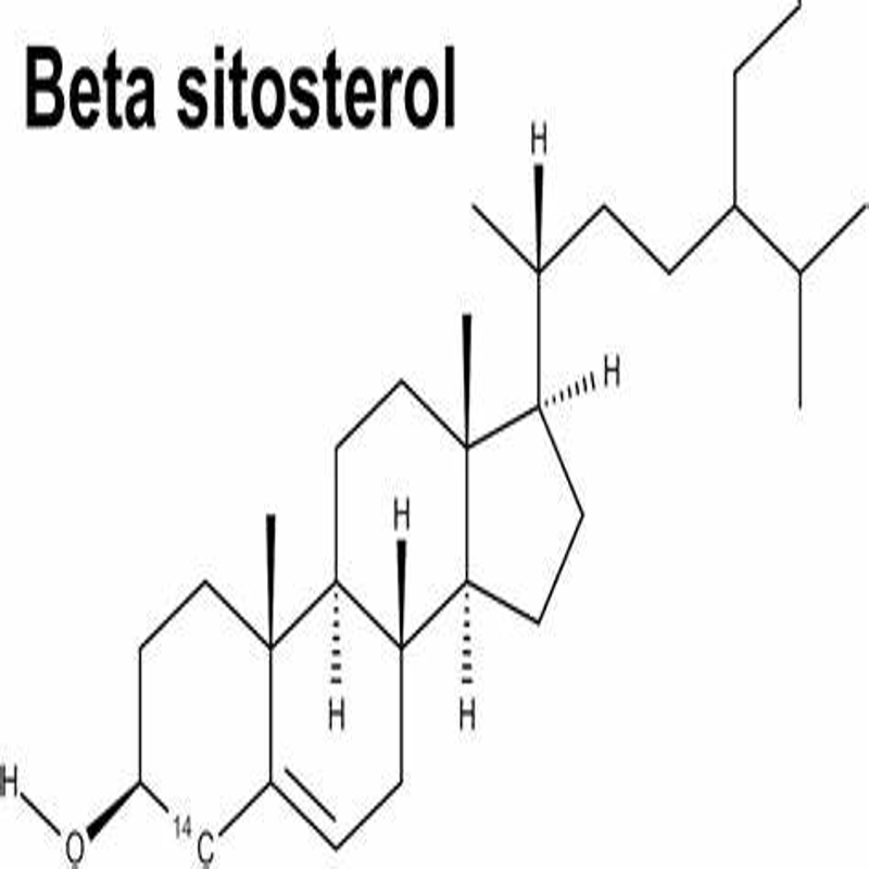 beta-Sitosterol SNC | Good Fortune