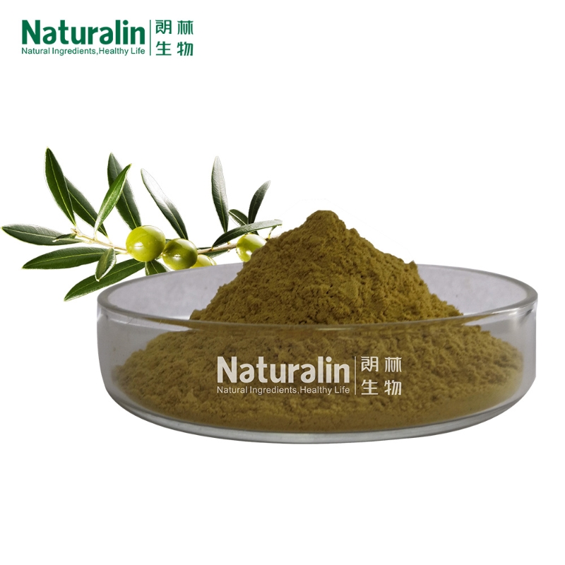 Naturalin Olive Leaf Extract Olea europaea L. 20% 40% Oleuropein natural Olive Leaf Extract Powder for antioxidant