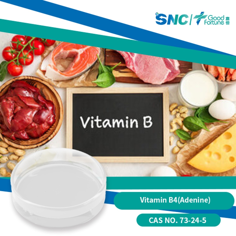 Vitamin B4(Adenine)  White crystals or crystalline powder  SNC | Good Fortune