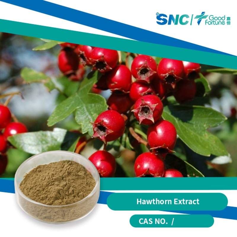 Hawthorn extract