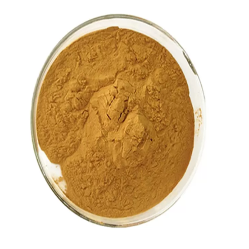 Ginkgo Biloba Extract/Ginkgo Biloba L./Light yellow brown to brown powder/ Welldon