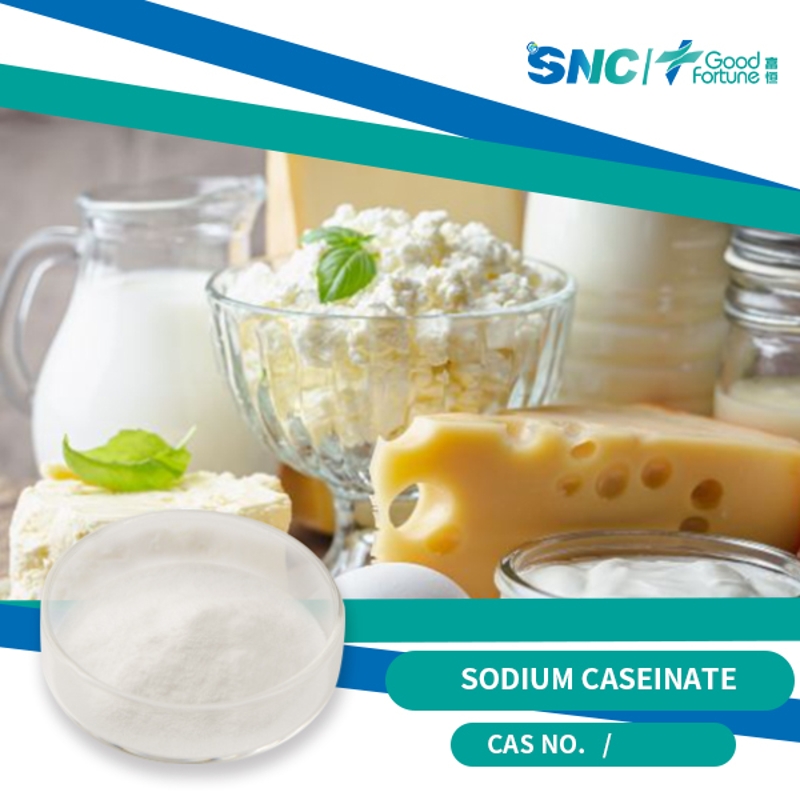 Sodium Caseinate  White powder  SNC | Good Fortune