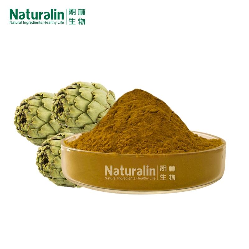 wholesale Artichoke Extract Cynara Scolymus L 5% Cynarin CAS.1182-34-9
