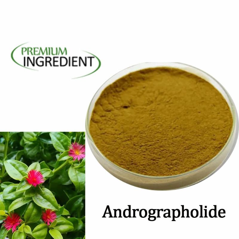 PREMIUM INGREDIENT  Andrographolide powder isolated from Andrographis Paniculata