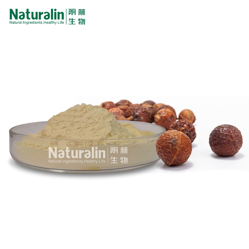 Soap Nut Extract 70% Saponin CAS.223748-41-2