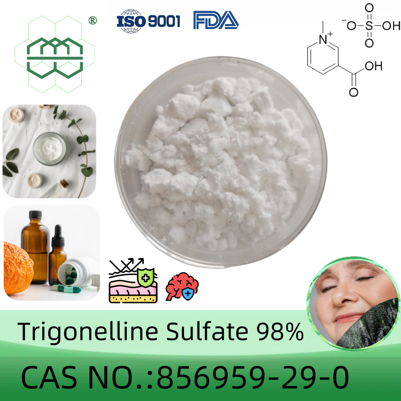 Trigonelline Sulfate CAS No.:856959-29-0 98% purity min. for supplement ingredients