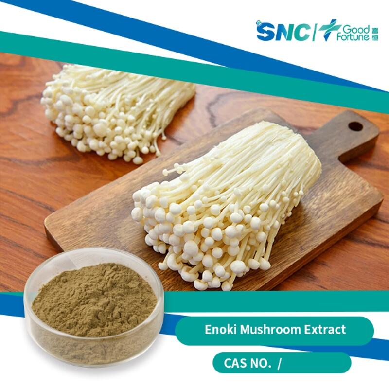 wholesale Enoki Mushroom Extract SNC | Good Fortune
