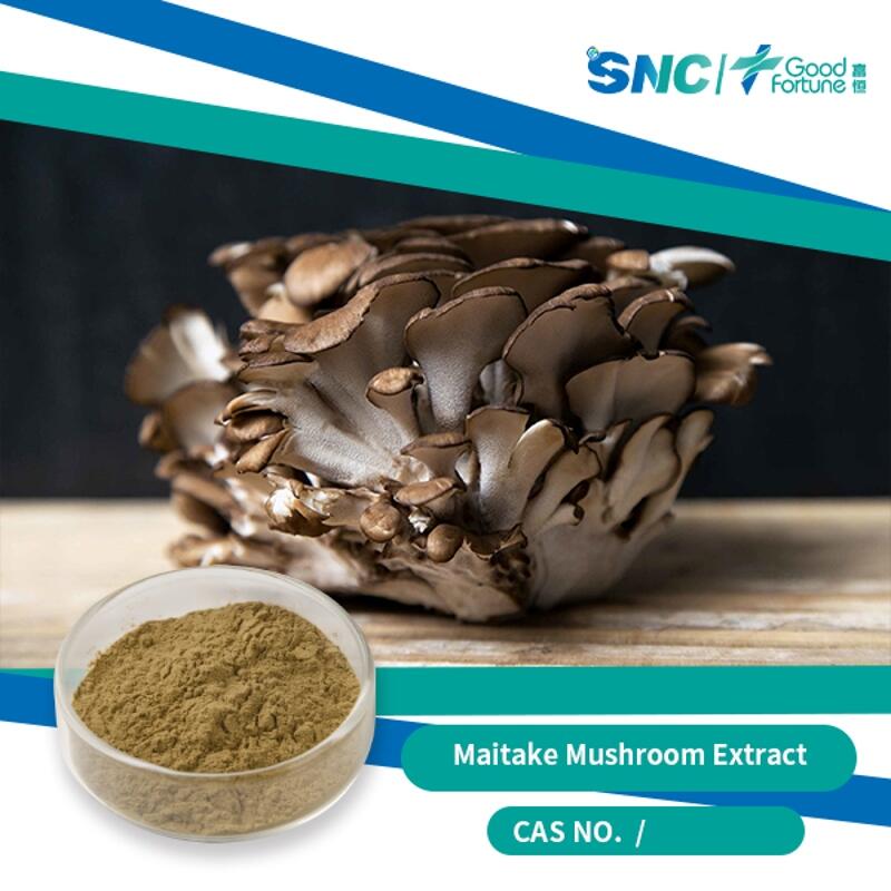 wholesale Maitake Mushroom Extract SNC | Good Fortune