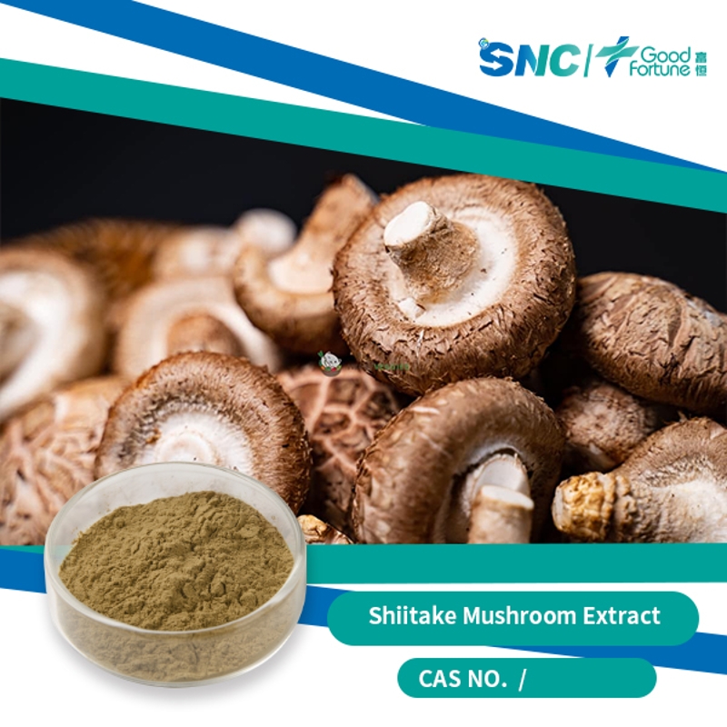 Shiitake Mushroom Extract SNC | Good Fortune