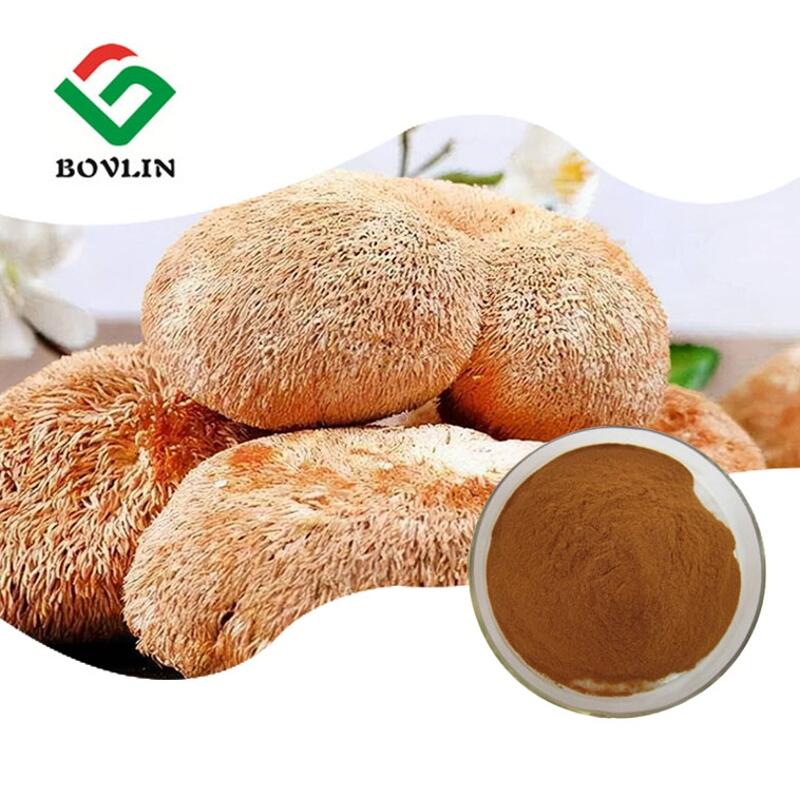 Lion's mane mushroom extract powder