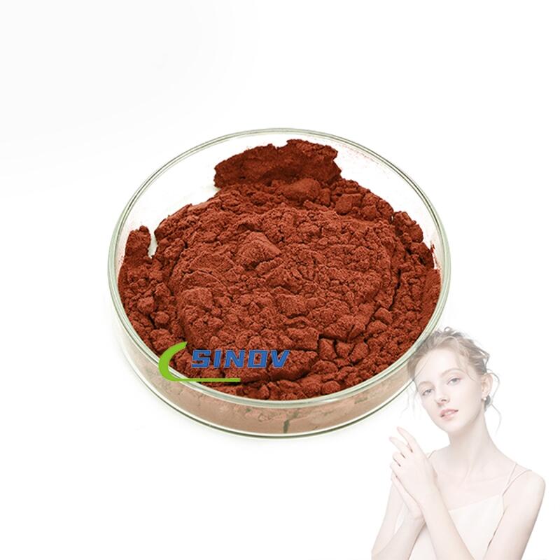 Factory Supply Natural Bulk Brown Algae Extract Wholesale High Quality Organic Brown Algae Extract Powder wholesale Factory Supply Natural Bulk Brown Algae Extract Wholesale High Quality Organic Brown Algae Extract Powder