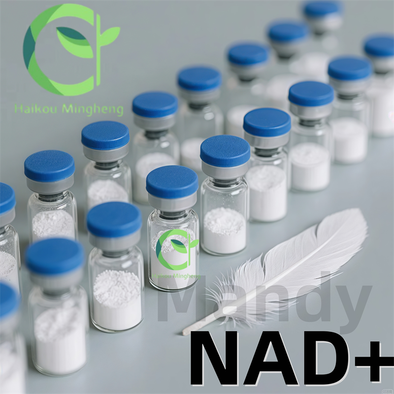 Chinese brand suppliers offer high-quality β-Nicotinamide Adenine Dinucleotide (NAD+) with a purity of up to 99%.
