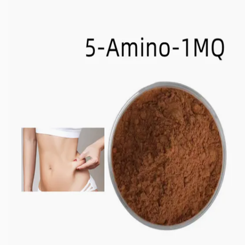 wholesale Wholease CAS 42464-96-0 Nnmti Raw Powder 5 Amino 1mq for Weight Loss